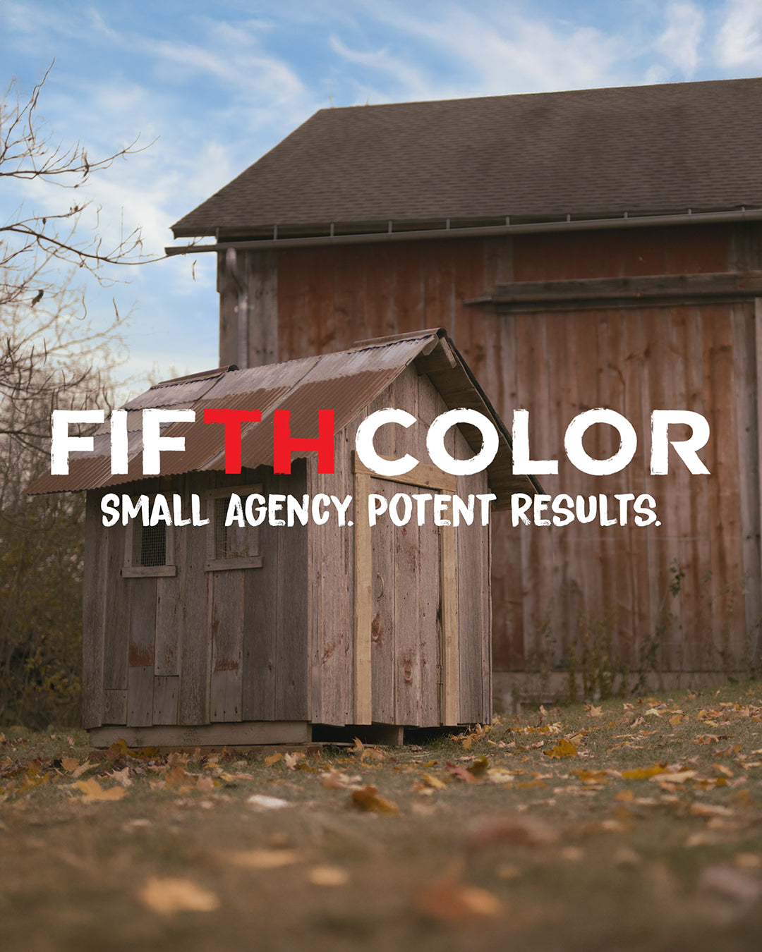 Wooden sheds with 'Fifth Color' branding text overlay