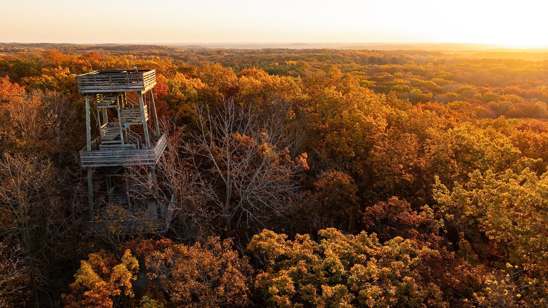 Wooden observation deck in a forest during sunset